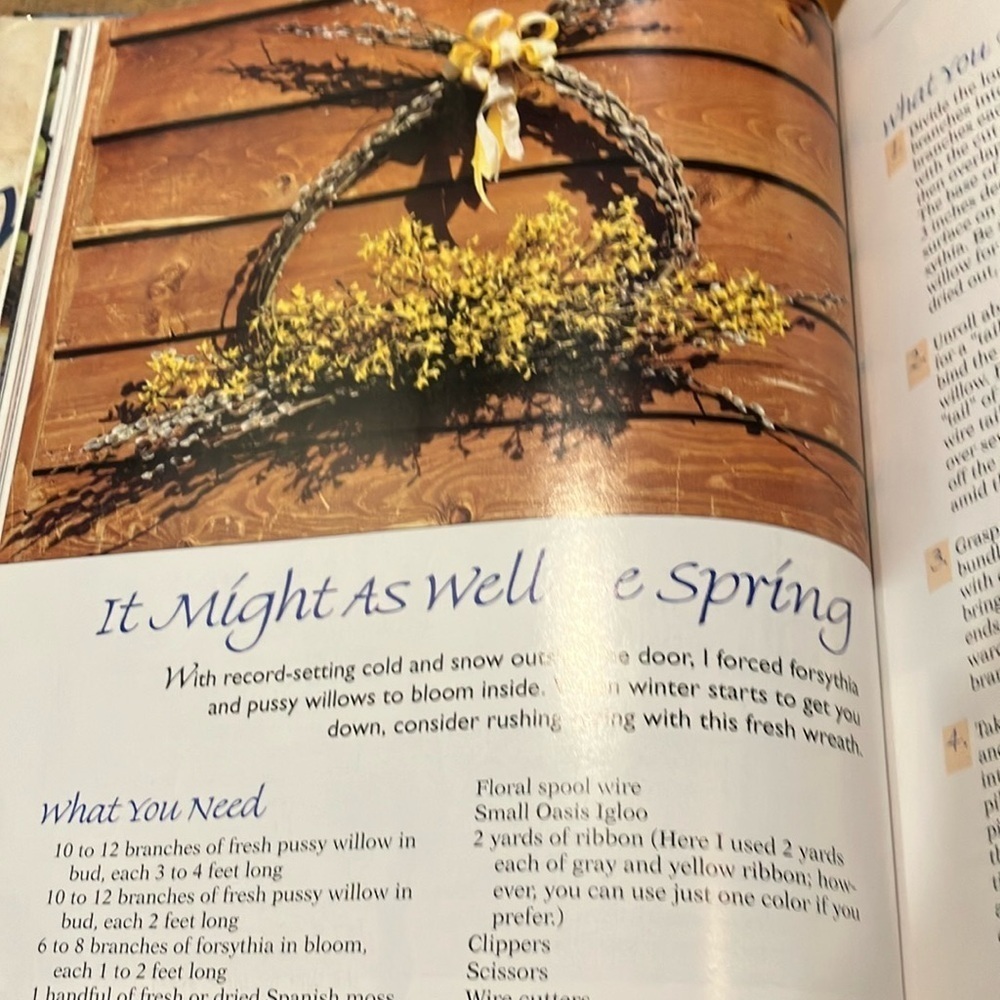 Book: The Ultimate Wreath Book by Ellen Spector Platt - Picture 15 of 16